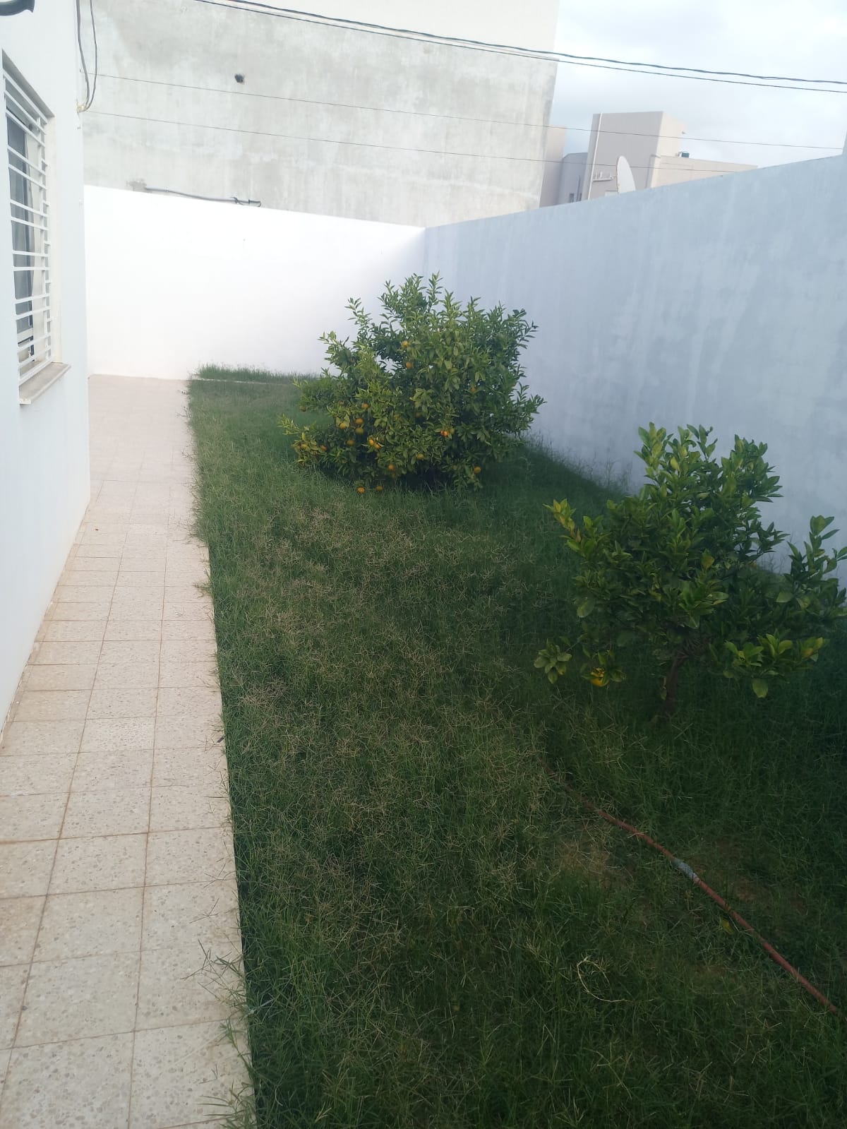 Image 389676