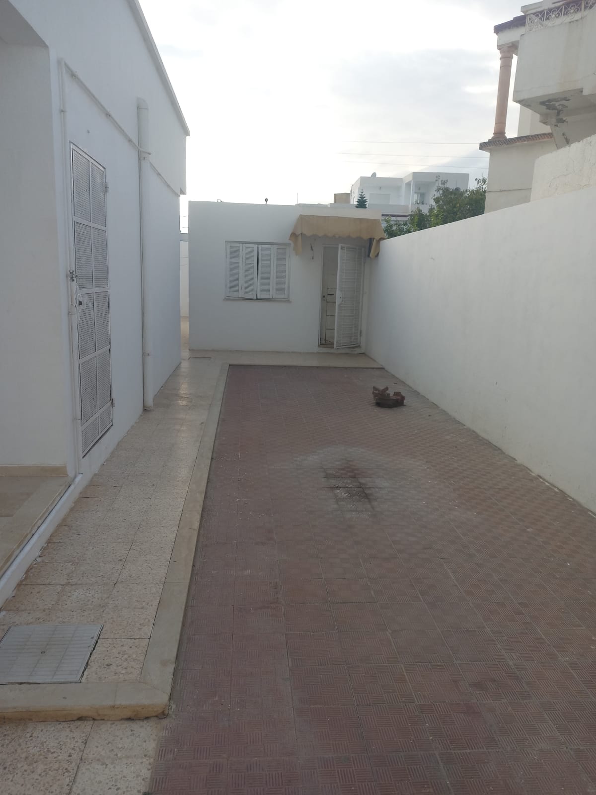 Image 389692