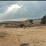 Photo-1 : Terrain à Hammamet (El Menchar)