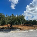 Photo-4 : Terrain à Rtiba Takelsa Route Haouaria pour investissement maison de campagne