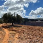 Photo-2 : Terrain à Rtiba Takelsa Route Haouaria pour investissement maison de campagne