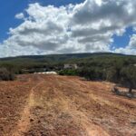 Photo-1 : Terrain à Rtiba Takelsa Route Haouaria pour investissement maison de campagne