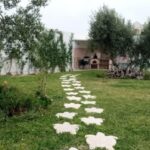 Photo-18 : Villa de type S+4 meublé à chatt mariem