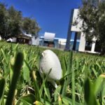 Photo-17 : Villa de type S+4 meublé à chatt mariem