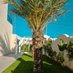 Photo-6 : Villa de Luxe à Midoun