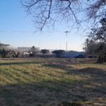 Photo-6 : Terrain à Mezraya