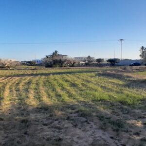 Terrain à Mezraya