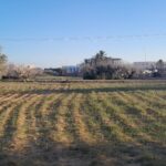 Photo-3 : Terrain à Mezraya