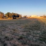 Photo-5 : Terrain à Mezraya