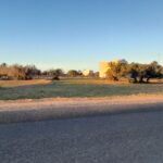 Photo-4 : Terrain à Mezraya