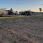 Photo-14 : Terrain à Mezraya
