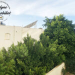 Photo-24 : Appartement sans meuble près du QG