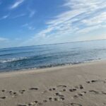 Photo-4 : Terrains à Kerkouane, Kélibia