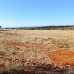 Terrain de 1 hectare à Sidi Thabet Jabbes