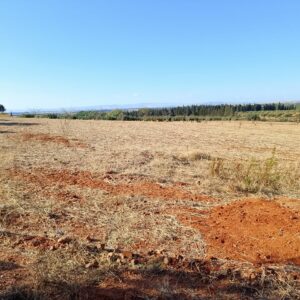 Terrain de 1 hectare à Sidi Thabet Jabbes