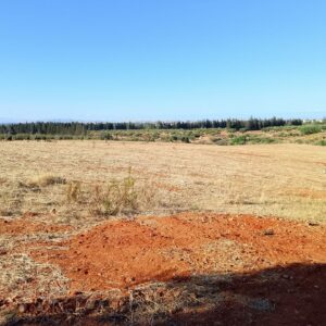 Terrain de 1 hectare à Sidi Thabet
