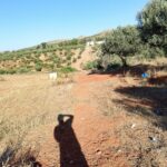 Photo-3 : Terrain de 1 hectare à Sidi Thabet jabbes