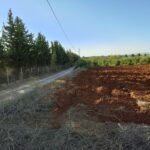 Photo-3 : Lots de terrain de 1000m² situés à Sidi Thabet Ariana