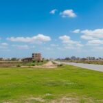 Photo-3 : Terrain à Mamounia, Kelibia