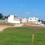 Photo-2 : Terrain à Mamounia, Kelibia