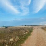 Photo-4 : Terrain à Mamounia, Kelibia