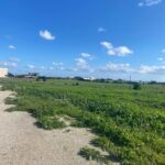 Photo-3 : Terrains à Kerkouane, Kélibia