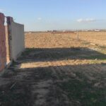 Photo-5 : للبيع قطعة أرض 150 متر مربع في رواد قرب بحر