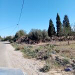 Photo-1 : أرض فلاحية للبيع فالقلعة الكبرى ولاية سوسة