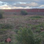 Photo-3 : Terrain clôturé à Sidi Thabet, Sabelet Ben Amar