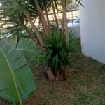 Photo-1 : Appartement S+3 à Gammarth