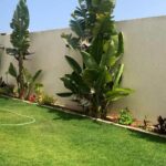 Photo-3 : Magnifique villa à chatte Mariem