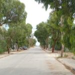 Terrain de 282m² au lotissement flamants roses