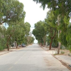 Terrain de 282m² au lotissement flamants roses