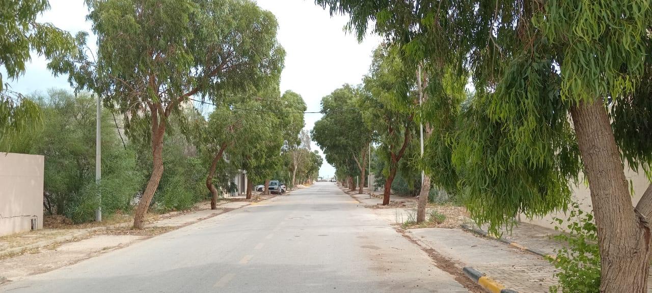 Terrain de 282m² au lotissement flamants roses