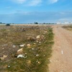 Photo-7 : Terrain à Mamounia, Kelibia