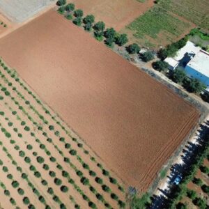 Lots de terrain de 1000m² situés à Sidi Thabet Ariana