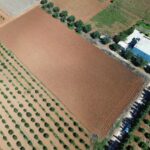 Photo-2 : Lots de terrain de 1000m² situés à Sidi Thabet