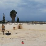 S2 à 100m du port Punique Carthage Byrsa