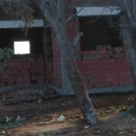 Photo-3 : Maison à Dar Allouch