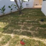 Photo-1 : Villa au Manar 2