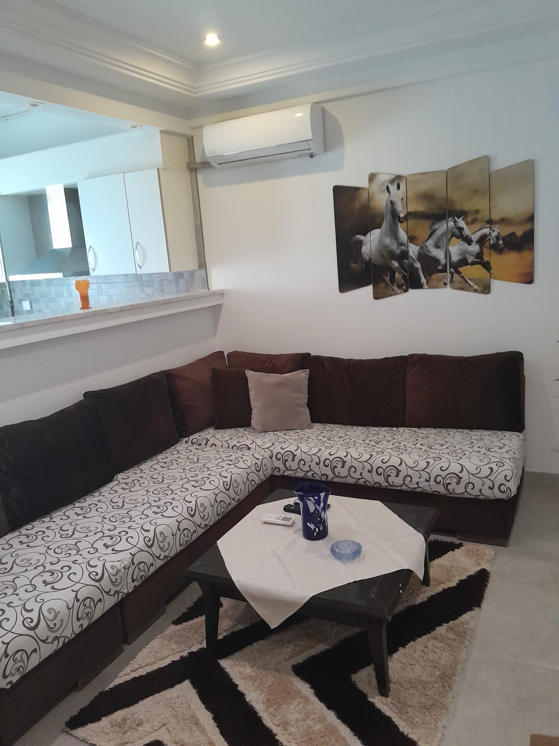 Appartement S+1 meublé
