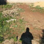 Terrain de 400 m² à Borj Touil