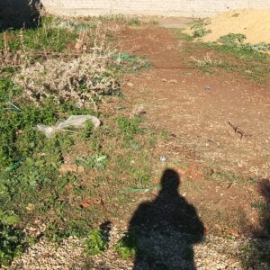 Terrain de 400 m² à Borj Touil