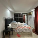 Photo-6 : Duplex Meublé en S3 à La Marsa Cube