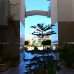 Photo-2 : Appartement S1 idéal pour médecin en plein zone touristique Mahdia