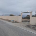 Photo-2 : Terrain agricole ( oliviers + maison )