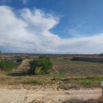 Photo-5 : Terrain agricole ( oliviers + maison )