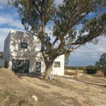 Terrain agricole ( oliviers + maison )