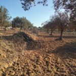 Terrain à Foukaya Chatt Mariem