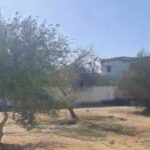 Photo-1 : Terrain à Midoun en zone urbaine